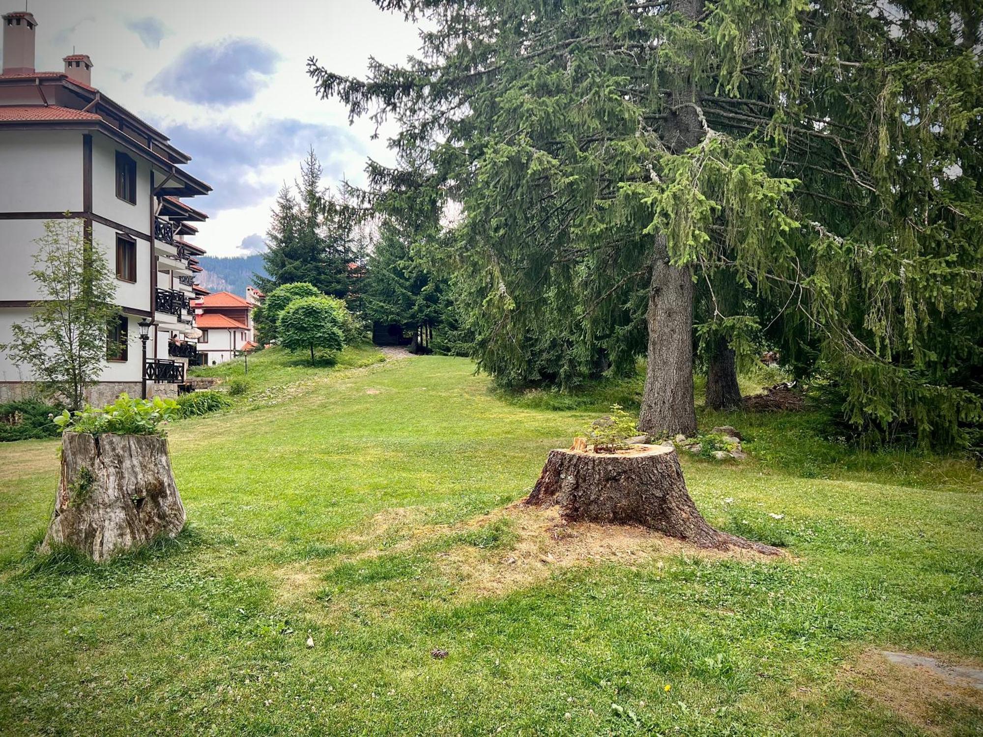 Relax Aпартаменти, Смолянски Езера, Вила Венера, К-С Маунтин Лейк Exterior foto